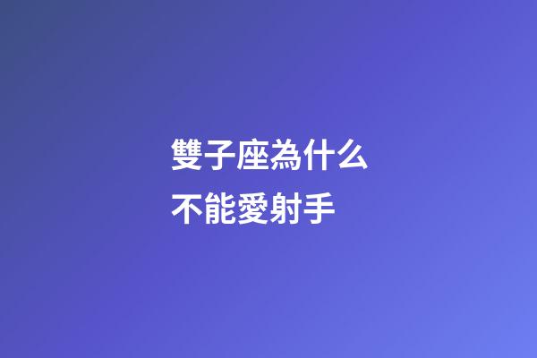 雙子座為什么不能愛射手-第1張-星座運勢-玄機派