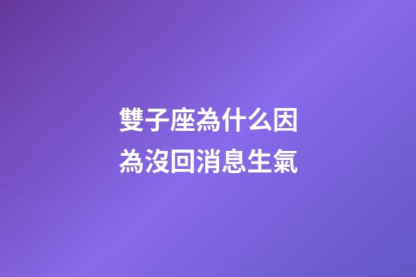 雙子座為什么因為沒回消息生氣-第1張-星座運勢-玄機派