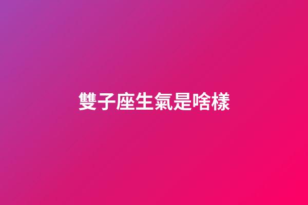 雙子座生氣是啥樣-第1張-星座運勢-玄機派