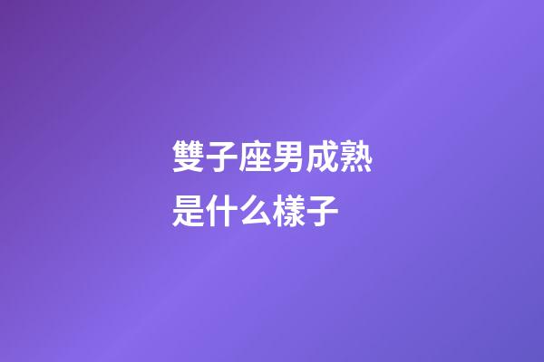 雙子座男成熟是什么樣子-第1張-星座運勢-玄機(jī)派