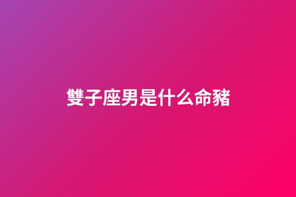 雙子座男是什么命豬-第1張-星座運(yùn)勢(shì)-玄機(jī)派