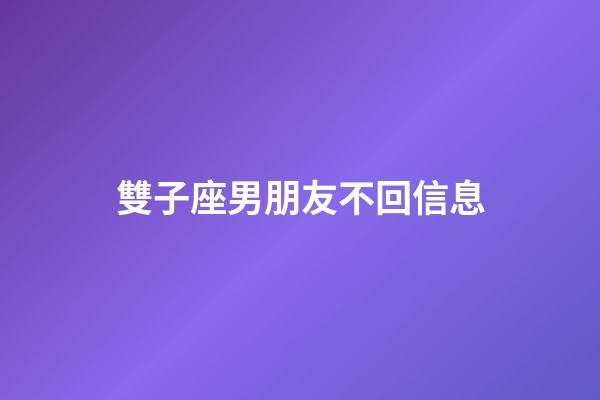 雙子座男朋友不回信息-第1張-星座運勢-玄機派
