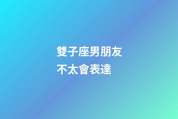 雙子座男朋友不太會表達-第1張-星座運勢-玄機派