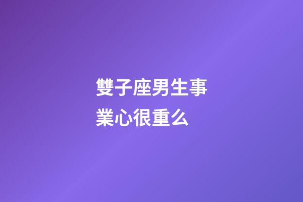 雙子座男生事業心很重么