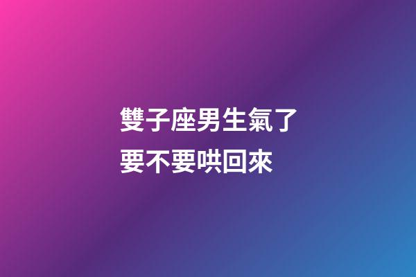 雙子座男生氣了要不要哄回來-第1張-星座運勢-玄機派