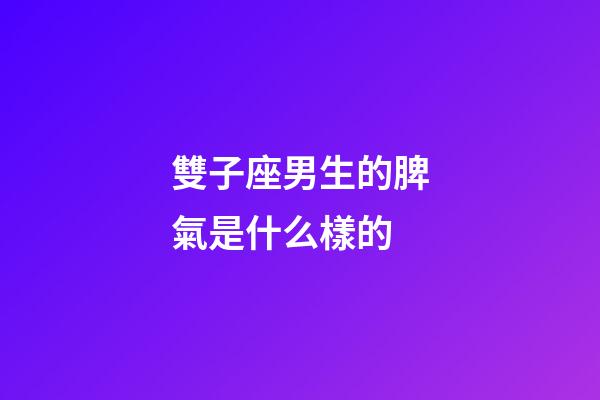 雙子座男生的脾氣是什么樣的-第1張-星座運勢-玄機派