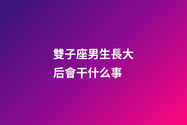 雙子座男生長大后會干什么事