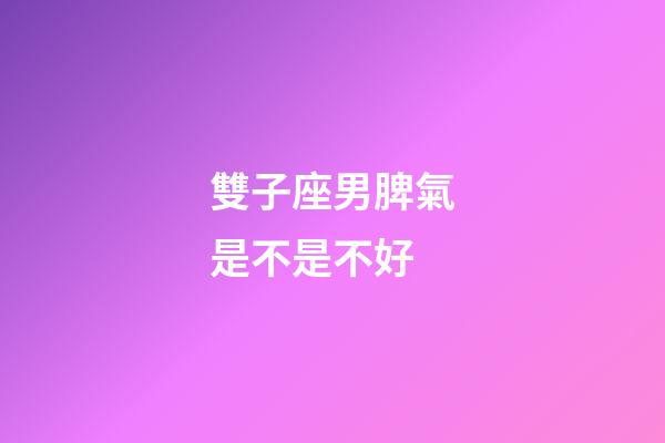 雙子座男脾氣是不是不好-第1張-星座運勢-玄機派