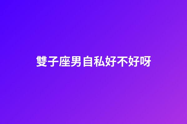 雙子座男自私好不好呀-第1張-星座運勢-玄機派