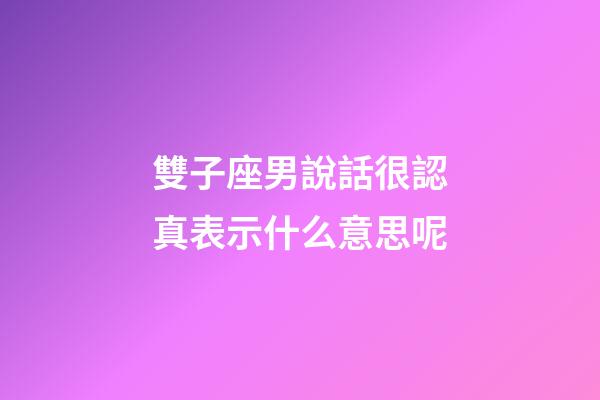 雙子座男說話很認真表示什么意思呢-第1張-星座運勢-玄機派