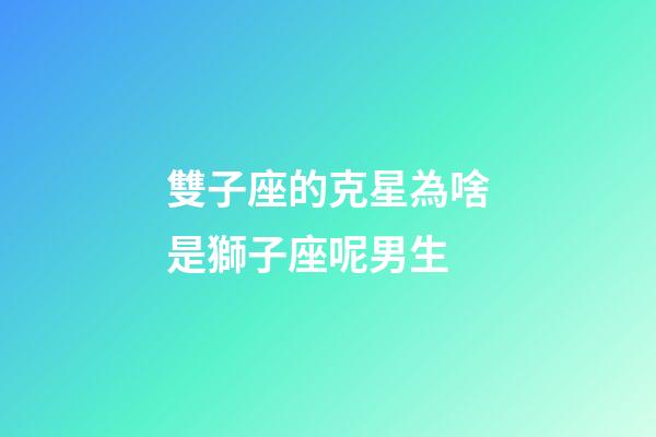 雙子座的克星為啥是獅子座呢男生-第1張-星座運勢-玄機派