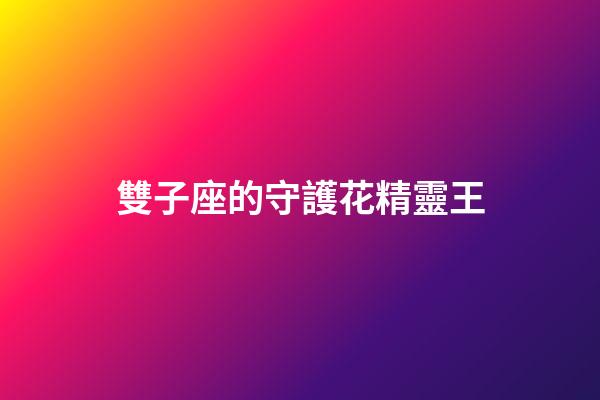 雙子座的守護花精靈王