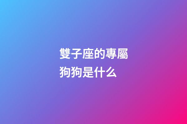 雙子座的專屬狗狗是什么-第1張-星座運勢-玄機派