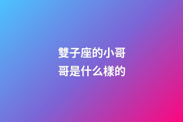 雙子座的小哥哥是什么樣的-第1張-星座運勢-玄機派