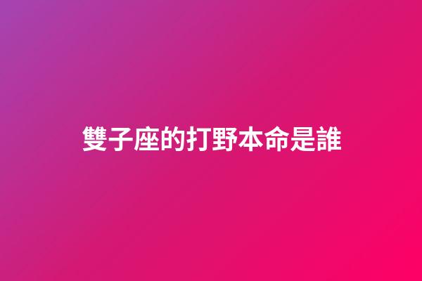 雙子座的打野本命是誰-第1張-星座運勢-玄機派