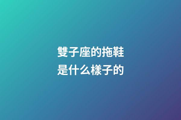 雙子座的拖鞋是什么樣子的