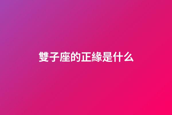 雙子座的正緣是什么-第1張-星座運勢-玄機派