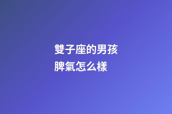 雙子座的男孩脾氣怎么樣-第1張-星座運勢-玄機派