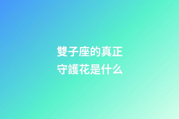 雙子座的真正守護花是什么
