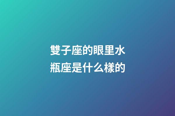 雙子座的眼里水瓶座是什么樣的-第1張-星座運勢-玄機派