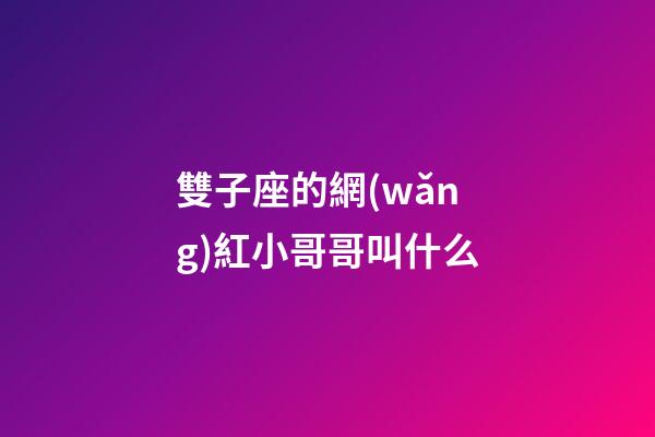 雙子座的網(wǎng)紅小哥哥叫什么