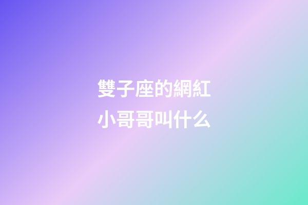 雙子座的網紅小哥哥叫什么-第1張-星座運勢-玄機派