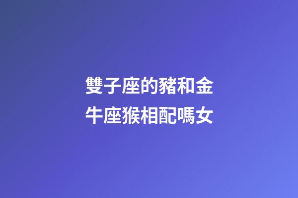 雙子座的豬和金牛座猴相配嗎女-第1張-星座運勢-玄機派