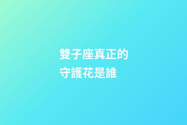 雙子座真正的守護花是誰-第1張-星座運勢-玄機派