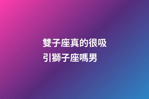 雙子座真的很吸引獅子座嗎男-第1張-星座運勢-玄機派