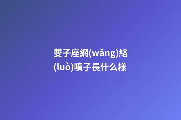 雙子座網(wǎng)絡(luò)噴子長什么樣
