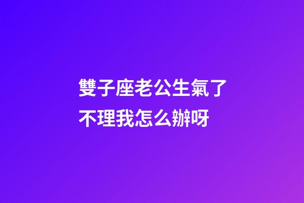 雙子座老公生氣了不理我怎么辦呀-第1張-星座運勢-玄機派