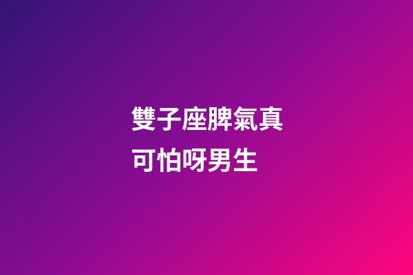 雙子座脾氣真可怕呀男生-第1張-星座運(yùn)勢(shì)-玄機(jī)派
