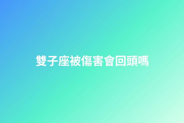 雙子座被傷害會回頭嗎-第1張-星座運勢-玄機派
