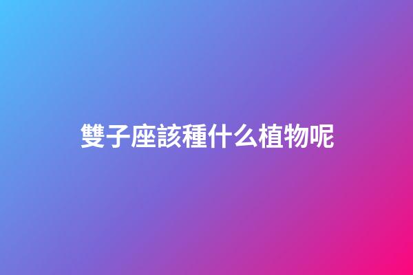 雙子座該種什么植物呢-第1張-星座運(yùn)勢-玄機(jī)派