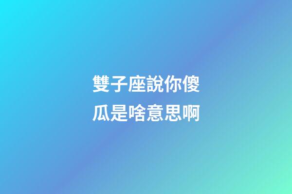雙子座說你傻瓜是啥意思啊-第1張-星座運勢-玄機(jī)派