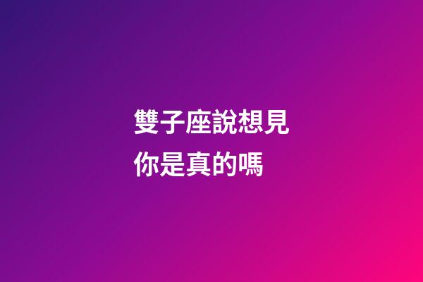 雙子座說想見你是真的嗎-第1張-星座運勢-玄機派