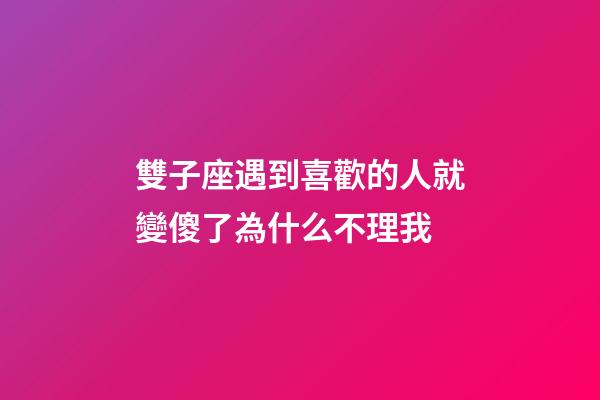 雙子座遇到喜歡的人就變傻了為什么不理我-第1張-星座運(yùn)勢-玄機(jī)派