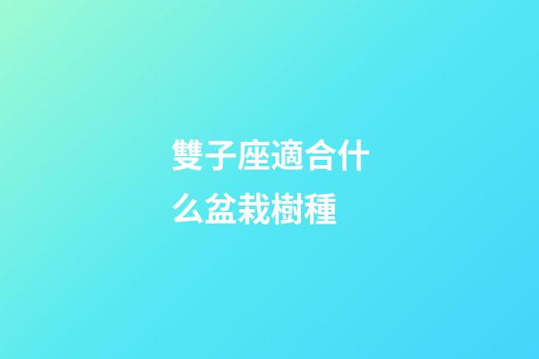 雙子座適合什么盆栽樹種-第1張-星座運(yùn)勢-玄機(jī)派