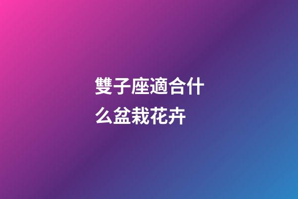 雙子座適合什么盆栽花卉