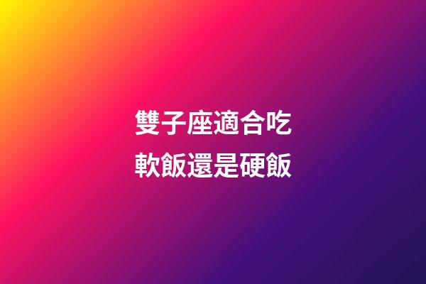 雙子座適合吃軟飯還是硬飯