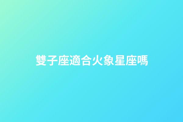 雙子座適合火象星座嗎-第1張-星座運勢-玄機派