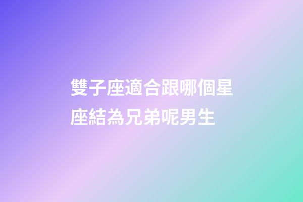 雙子座適合跟哪個星座結為兄弟呢男生-第1張-星座運勢-玄機派