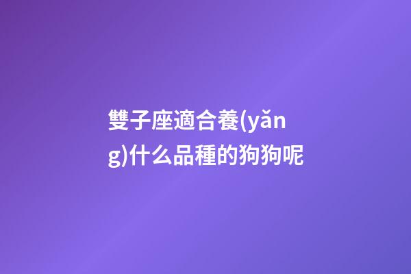 雙子座適合養(yǎng)什么品種的狗狗呢-第1張-星座運勢-玄機派