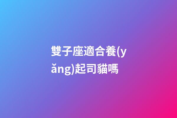 雙子座適合養(yǎng)起司貓嗎-第1張-星座運(yùn)勢(shì)-玄機(jī)派