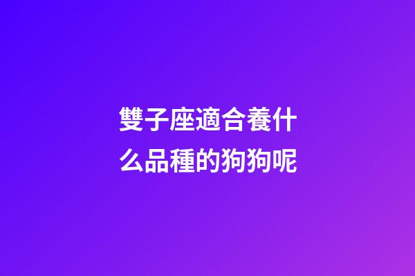 雙子座適合養什么品種的狗狗呢