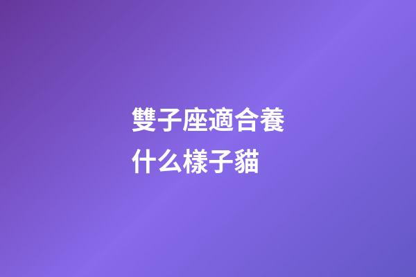 雙子座適合養什么樣子貓-第1張-星座運勢-玄機派