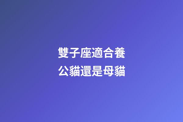 雙子座適合養公貓還是母貓