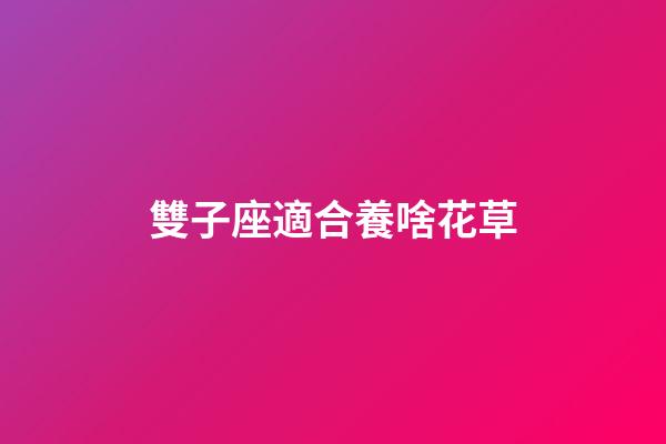 雙子座適合養啥花草-第1張-星座運勢-玄機派