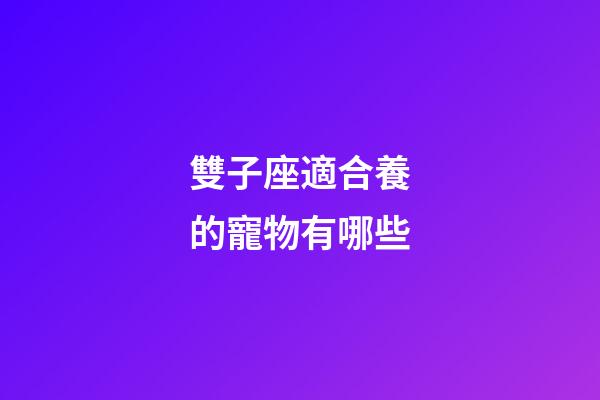 雙子座適合養的寵物有哪些-第1張-星座運勢-玄機派