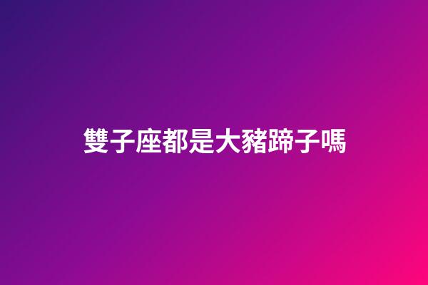 雙子座都是大豬蹄子嗎-第1張-星座運(yùn)勢-玄機(jī)派